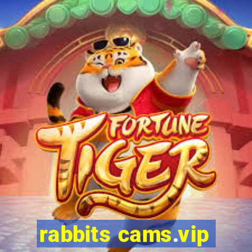 rabbits cams.vip